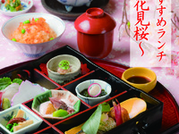 春のおすすめランチ「お花見桜」