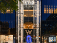 【3/14】  W FES 〈VIPシート〉