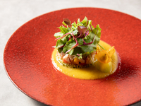 [Weekends and Holidays Casual Lunch] Prefix course with a choice of appetizer, main course, and dessert (4 dishes total, 90 minutes)