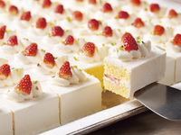 【苺フェア/平日/ソファー席 】ホテルパティシエ特製 苺のスイーツや苺を使用したお料理が大集合！　※窓側から離れたお席となります。