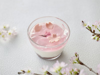 Sakura Blancmange
