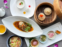 Tribeca Journey  9790