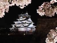 [Osaka Castle Nishinomaru Garden admission ticket included] Full course lunch plan