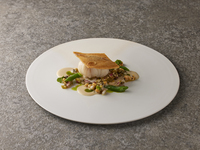 【Lunch Course MIZU】 Course only