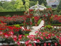 《平日限定》レッドローズガーデン入場券付きスーパースイーツビュッフェ～～ 