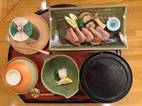 Duck steak meal