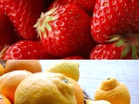 季節のデセールコース（全6皿）『苺と柑橘と』