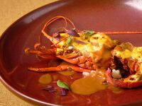 【★家族のお祝いにおすすめ！豪華伊勢海老ランチ★】乾杯酒のプレゼント付！前菜・パスタ・メインが伊勢海老のグラチネ！全4皿コース！