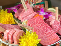 日曜裏コース「人 -jin- 」3月限定