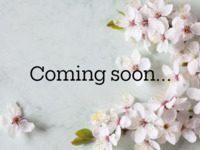 【割烹カウンター限定】春の体験型和フタヌーンティー＋シフォンケーキお土産