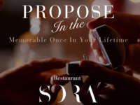 【Propose Plan】 CINDERELLA～シンデレラ～