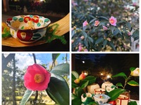 【期間限定】つばきウィーク特別料理　※フロア席限定