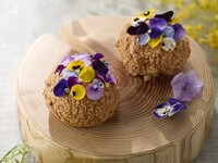 【テイクアウト】ミモザシュークリーム