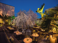 SAKURA祭【席のみ】ご予約