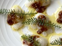 【ディナー】お席のみのご予約 