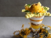 【3月/1日12食限定】“ミモザティラミスパフェ” -16:00来店-