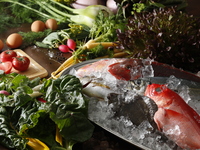 ゴールデンウィーク　シェフのお任せディナー（フルコース）4/28～5/11