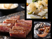 春の彩りコース