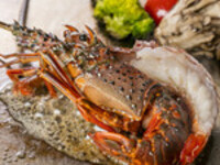 Dinner ロブスターコース全10品¥11,000