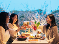 平日限定！【ビアガーデン ライトプラン】アルコール・ソフトドリンク飲み放題付き※雨天時も利用可能