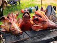 【特別体験メニュー】沖縄直送アグー豚のかしら丸焼き（ハーフサイズ）