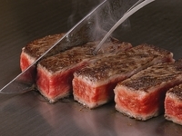 うかい特選牛ディナーコース【3月～S.フィレ】 