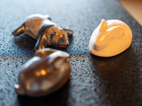 June 13 Exclusive | Chef’s Table Dinner with Ceramic Works by Masayuki and Makimasa Imai(Without drink pairing)