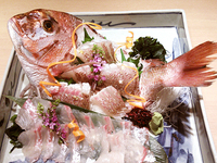 Sashimi of sea bream [Sugatazukuri]