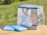 Cooler bag, 24L, includes 2 ice packs.