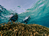 【ビジター】ビーチシュノーケルツアー 大人 /小人60min_～2026.3.13