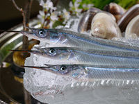 Seasonal Course 【Ukai Selected Beef Sirloin Steak】