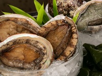 Abalone & Beefsteak Lunch Course 【Ukai Selected Beef Tenderloin】