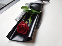 アニバーサリープラン“Rose”   【A. ローズブーケ（バラ一輪）】