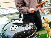 【1 group only per day | Fun with dogs】Bring-nothing BBQ Beer Garden plan on Ginza’s rooftop