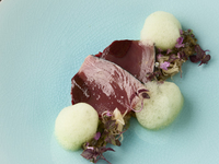 【入学・卒業お祝いプラン】乾杯酒付き(ノンアルコールも可) メインは三河豚 　5品＋食後のお飲み物   