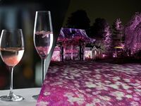 【3/23～4/10｜桜×春の高台寺特別拝観を楽しむ】桜カクテル付きディナー全4品