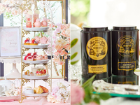 【平日夜限定！】ステーキディナー付き桜と苺のアフタヌーンティ≪乾杯酒込み≫