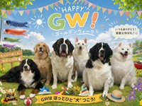 GW入場券4/29~5/10