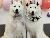 バースデーイベント チケット (50分）