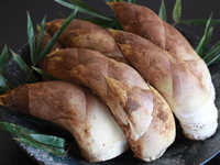 【蛤と筍×和ガストロノミーコース】13,200円