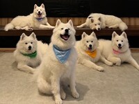 From April 1st: Weekdays - Regular Ticket (50 minutes)