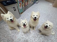 4/1～≪平日≫通常チケット（50分）