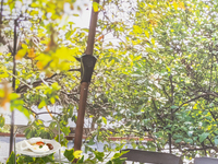 SEASONAL Afternoon Tea Set April-June 2026 “MELLOW MOOD”