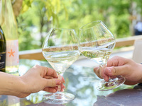 Chefs Lunch Course Weekday+2HDrinkFreeFlow 【泡3種含むワイン8種が楽しめるフリーフロー】