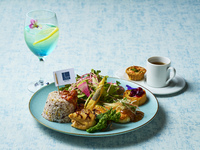 【土日祝期間限定】　おとな様ランチ ～春空のごちそうプレート～