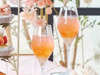 ＜オプション＞『シトラススプリング』1,200込込