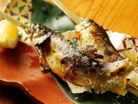 <All private rooms> [Ginrei] 9 dishes in total, including 5 kinds of grilled fish (char, Shinshu beef, cherry snapper, etc.) and a 3 kinds of fresh fish platter.