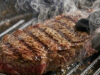 【ニーダーズコース　〜旬の食材×お肉〜】天井高で自然光が入る開放的店内で楽しむ、季節の前菜やパスタ×牛ハラミ含む3種グリル含む全7品 120分飲み放題付コース