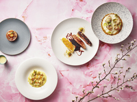 【春メニュー ★ランチ・プリフィックスコース 全5品】前菜・パスタ・2種のメイン・デザートが選べるフルコース