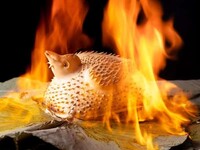 Reservation-only menu item: "Dong'an Chicken style, wrapped in lotus leaves and grilled."